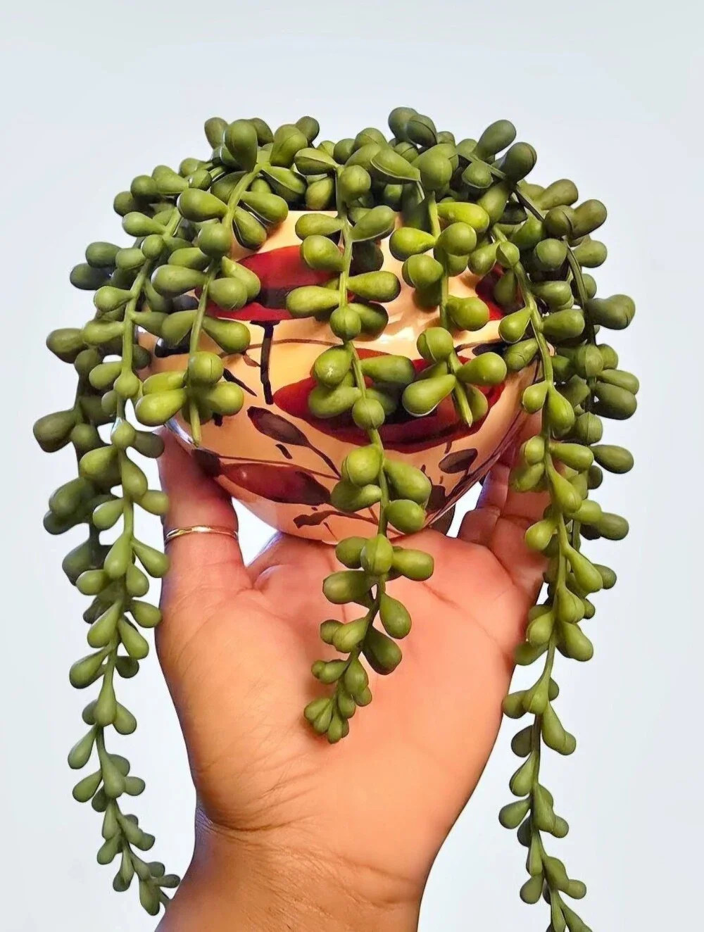 String of Pearls  Faux succulent plant with cascading green beads
